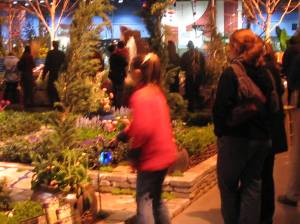 Court Working the crowd