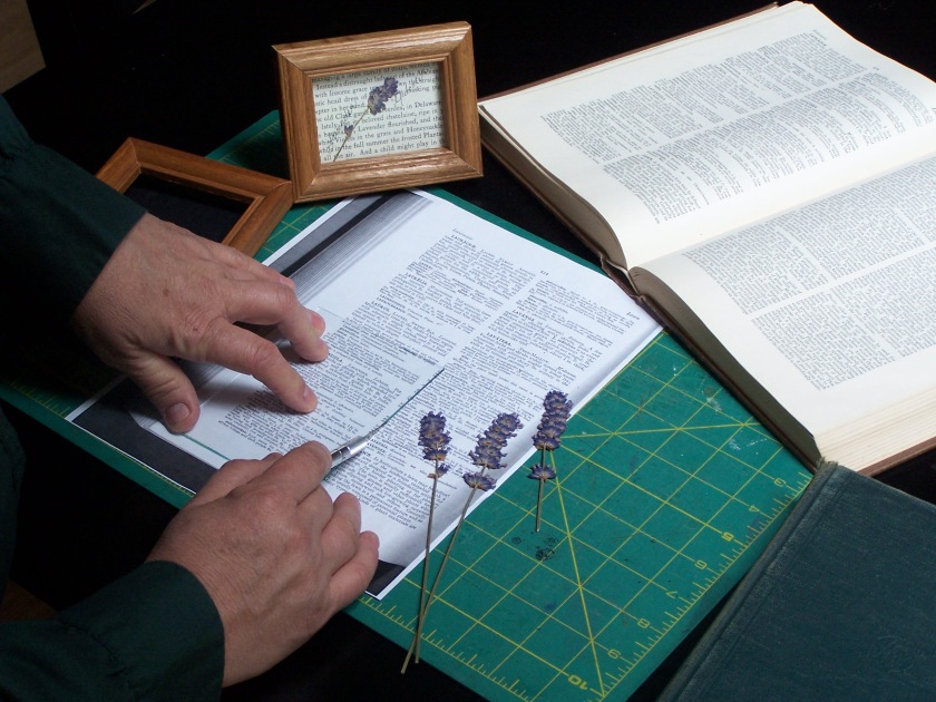 Make a copy of a page from an old horticultural dictionary.  Use a card stock parchment paper. Center the glass from the frame and cut around it with an craft knife.