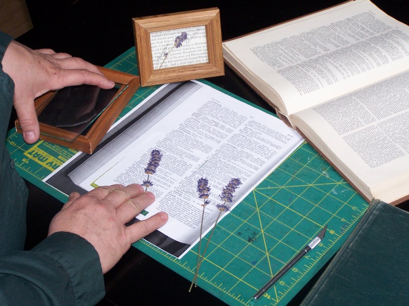 Place pressed lavender across the page. Position it so that it fits into the frame and also across the wording.