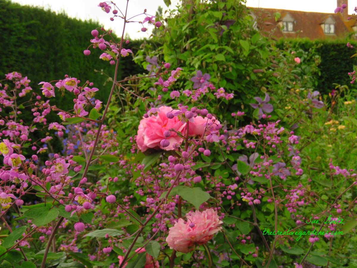 Travelogue: June in the&nbsp;UK