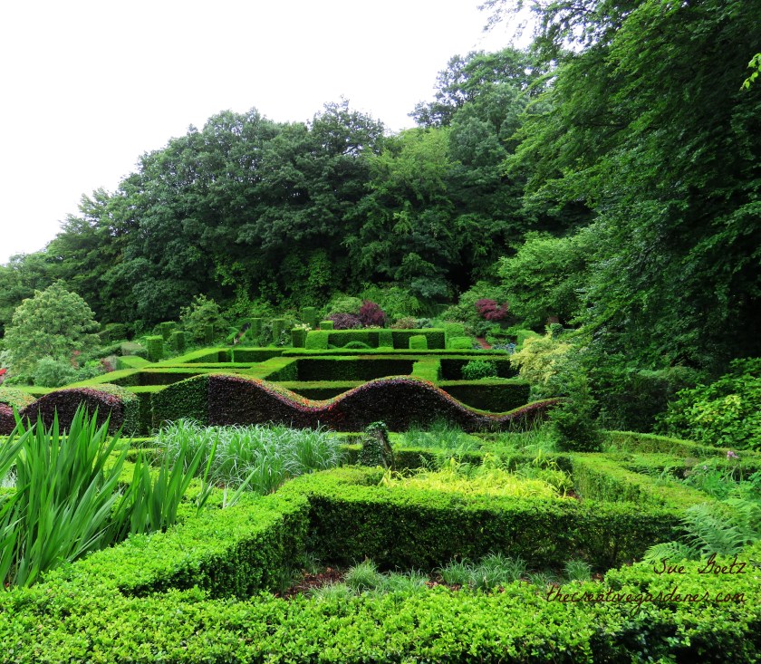 IMG_1300 veddw hedge.jpg