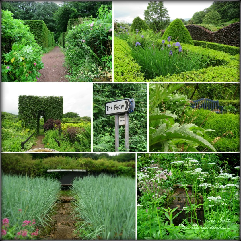 veddw garden mix.jpg