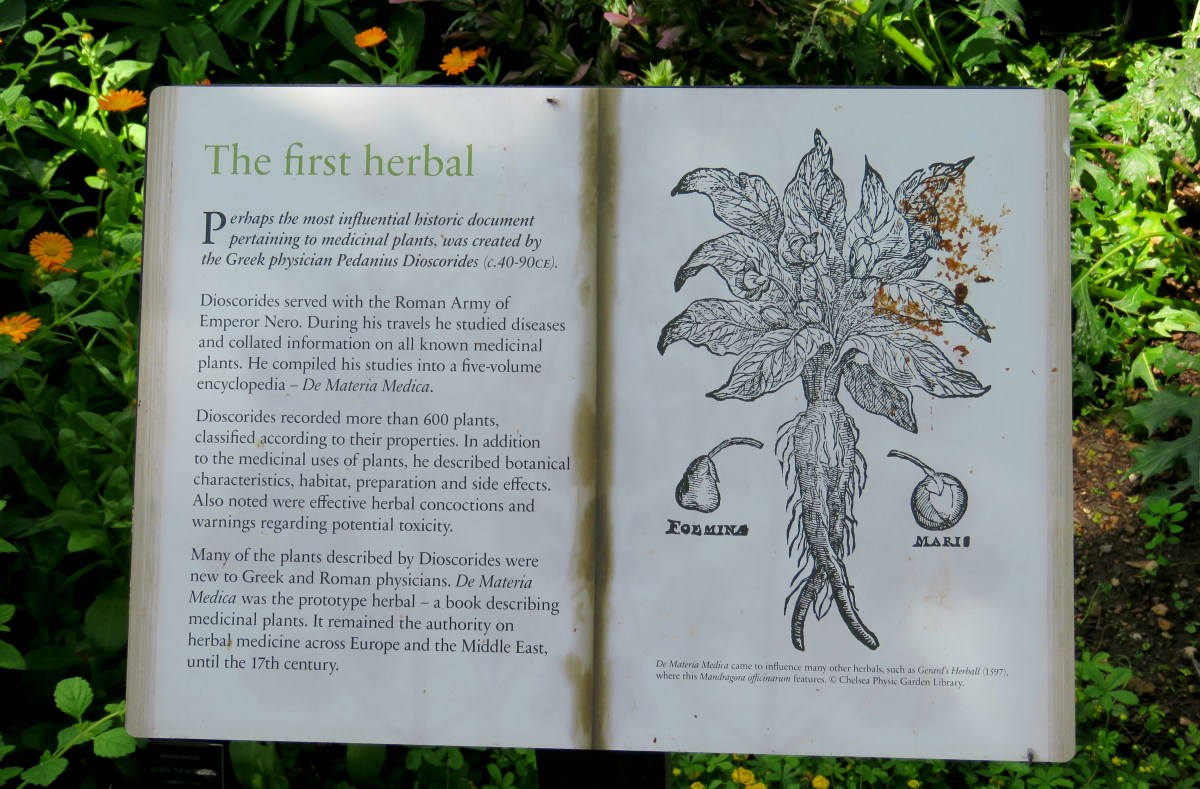 Travelogue: Chelsea Physic&nbsp;Garden