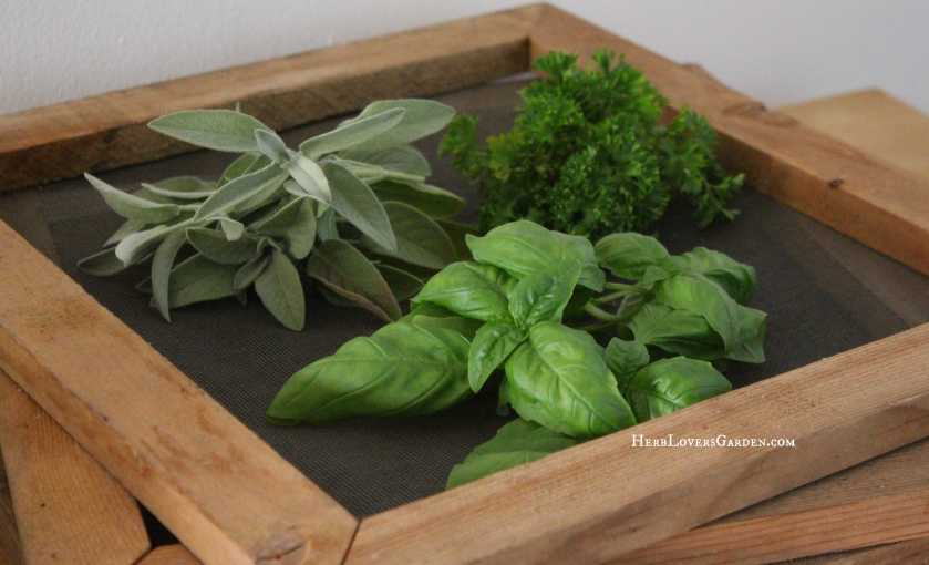 IMG_7618 drying screens wroding too.jpg